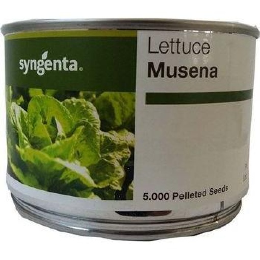 Μαρούλι Musena | 5000 Pellets 1 Μαρούλι Musena | 5000 Pellets