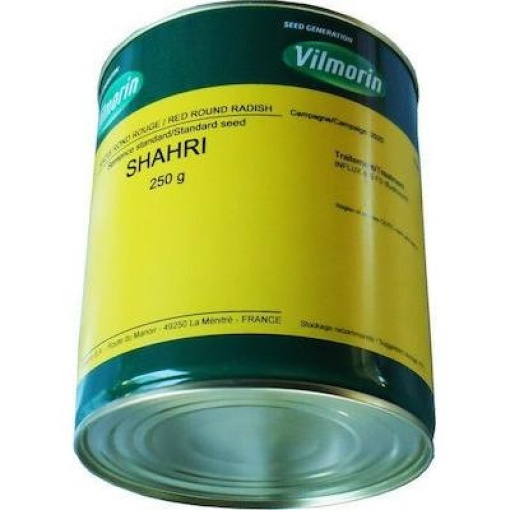 Ραπάνι  Shahri | 250gr
