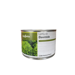 Σαλάτα Σγουρή Μακεδονίας Davidole | 5000 Pellets
