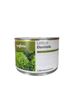Σαλάτα Σγουρή Μακεδονίας Davidole | 5000 Pellets