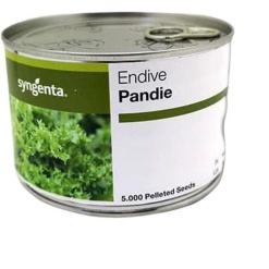 Αντίδι Σγουρό Pandie | 5000 Pellets