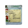 thassos1 removebg preview