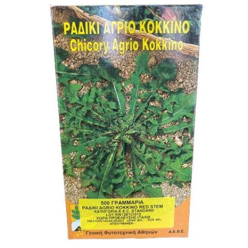 Ραδίκι Άγριο Κόκκινο | 500gr