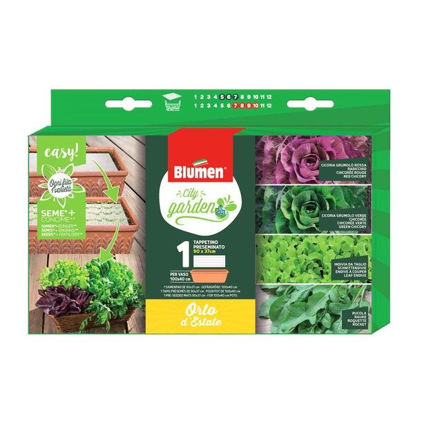City Garden Καλοκαιρινή Συλλογή Ραδίκι ροζέτα κόκκινο-πράσινο, Αντίδι σγουρό και Ρόκα