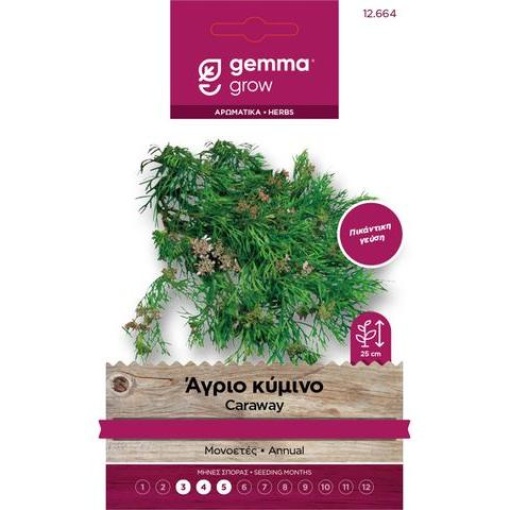 Άγριο κύμινο 1 Άγριο κύμινο