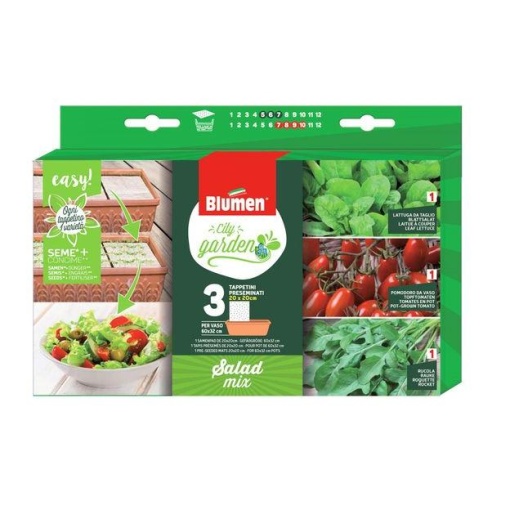 City Garden Συλλογή Σαλάτας Ρόκα, Τομάτα, Μαρούλι 1 City Garden Συλλογή Σαλάτας Ρόκα, Τομάτα, Μαρούλι
