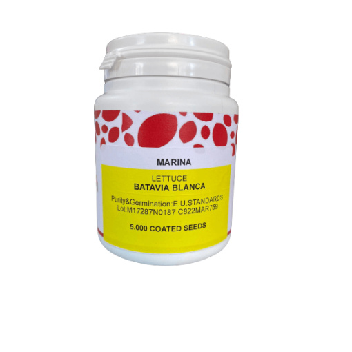 Σπόρος Μαρούλι Κατσαρό Batavia Blanca-Marina |5000 pellets 1 Σπόρος Μαρούλι Κατσαρό Batavia Blanca-Marina |5000 pellets