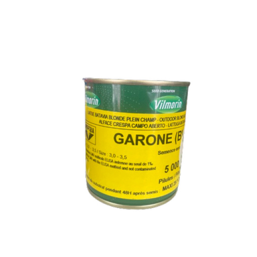 Μαρούλι Lolla Πράσινη Garone | 5000 pellets 2 Μαρούλι Lolla Πράσινη Garone | 5000 pellets - Image 2