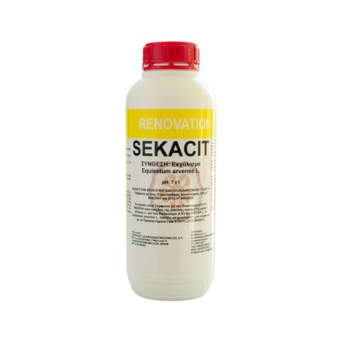 Sekacit Renovation | 1lt