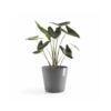 5411942740940 01 Amsterdam 40 Grey 1000x1250w 1