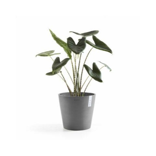 Γλάστρα Ecopots Amsterdam 40