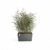 Ecopots Ζαρντινιέρα Paris 80 - Image 3