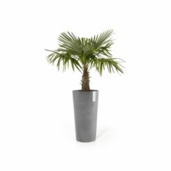 Γλάστρα Ecopots Amsterdam Mid High 66