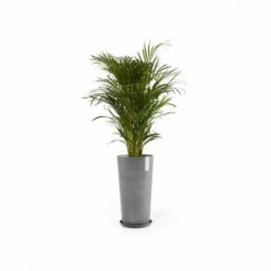 Γλάστρα Ecopots Amsterdam High 76 5 5413724316336 11 Amsterdam High 76 Grey 550x550 1