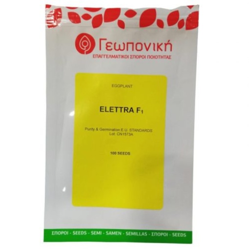 Μελιτζάνα Λαγκαδά Elettra F1 | 500 σπόρων 2 Μελιτζάνα Λαγκαδά Elettra F1 | 500 σπόρων - Image 2