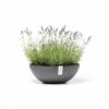 Ecopots Γλάστρα Στρογγυλή Vienna 50 8 5413724325666 02 Vienna 50 Grey 550x550 1