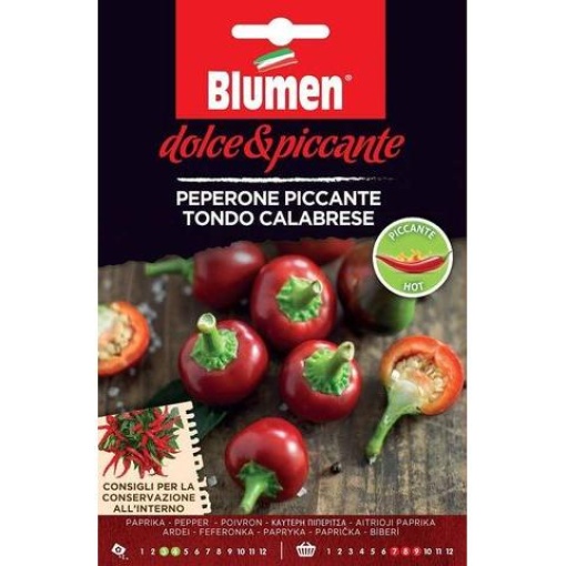 Πιπεριά Piccante Calabrese (Καυτερή) 1 Πιπεριά Piccante Calabrese (Καυτερή)