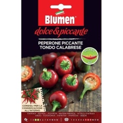 Πιπεριά Piccante Calabrese (Καυτερή)