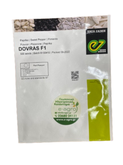 Alternative view of Πιπεριά Ντολμάς Dovras F1 | 500 σπόρων