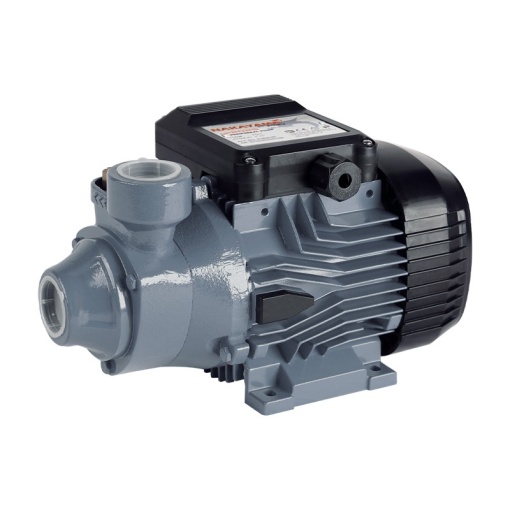 PERIPHERAL PUMP 750W