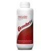 granbrix1