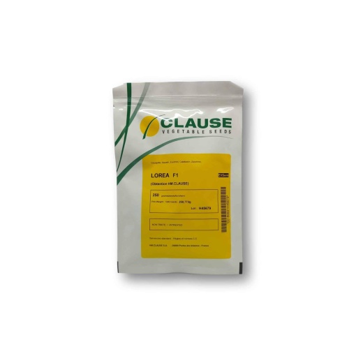 Κολοκύθι Lorea Clause F1 | 250 Σπόρων 2 Κολοκύθι Lorea Clause F1 | 250 Σπόρων - Image 2