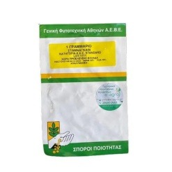 Σταμναγκάθι Παραδοσιακό Fyto | 1gr