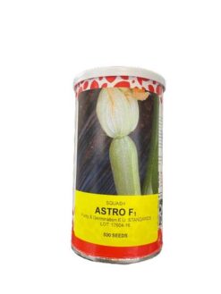 Κολοκύθι Ανοικτόχρωμο Astro F1 | 500 Σπόρων 7 IMG 2930 removebg preview