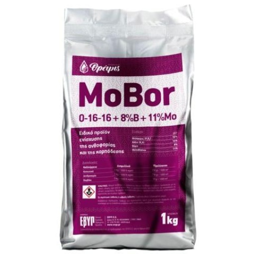 mobornew 1