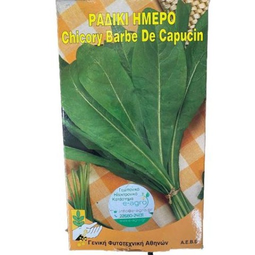 Ραδίκι Ήμερο | 500gr