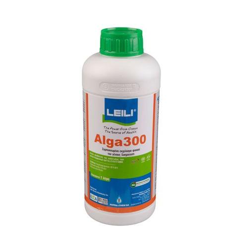 ALGA 300 result