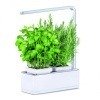 viviana kitchen gardening s 550x550 result
