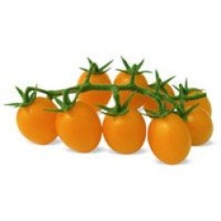 Cherry Αναρριχώμενο Πορτοκαλί Honey Dew F1 | 500 Σπόρων
