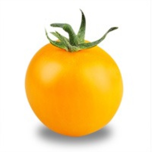 Cherry Αναρριχώμενο Κίτρινο Limocito F1 | 500 Σπόρων 2 Cherry Αναρριχώμενο Κίτρινο Limocito F1 | 500 Σπόρων - Image 2