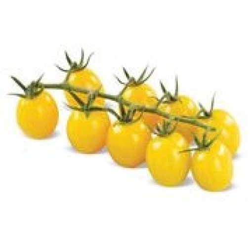 Cherry Αναρριχώμενο Κίτρινο Limocito F1 | 500 Σπόρων 1 Cherry Αναρριχώμενο Κίτρινο Limocito F1 | 500 Σπόρων