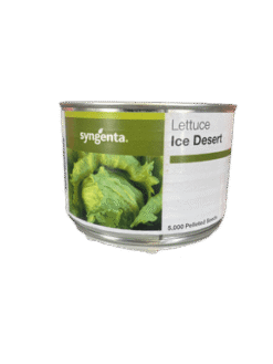 Alternative view of Μαρούλι Iceberg Ice Desert | 5000 Pills