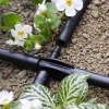 Σύνδεσμος 4 Θέσεων Σωλήνα 1/4'' Claber 91145 - Image 3