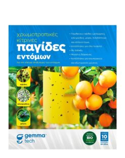 Αυτοκόλλητες Παγίδες Εντόμων για Μελίγκρα, Δάκο, Μύγα Μεσογείου | 10Τμχ