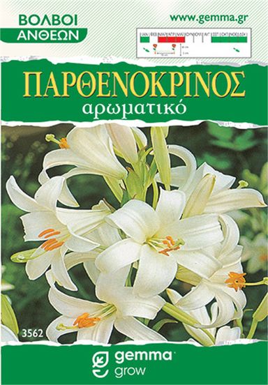 Παρθενόκρινος ή "Κρίνος της Παναγίας"