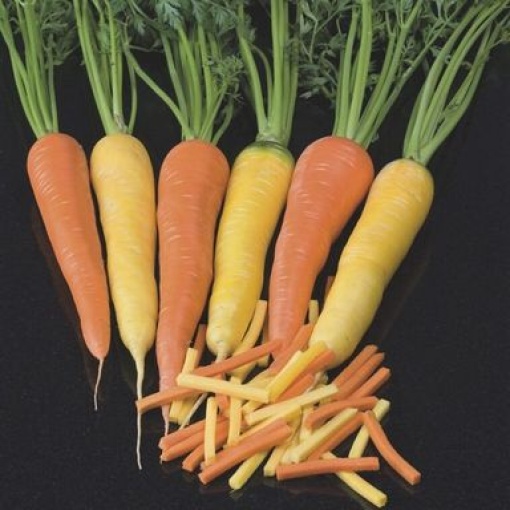 carrots komarno 3074 low resolution SQ