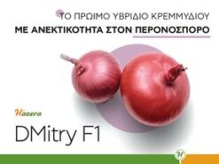 dmitry 1