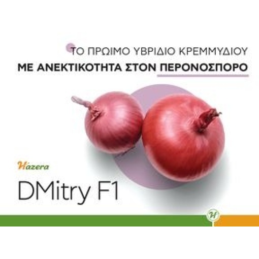 Πρώιμο Κρεμμύδι Μικρής Ημέρας Dimitrios F1 | 100.000 Σπόρων 2 Πρώιμο Κρεμμύδι Μικρής Ημέρας Dimitrios F1 | 100.000 Σπόρων - Image 2