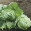 lettuce bonnice 15224 low resolution SQ 900x900 result