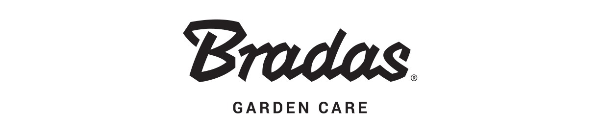 Bradas