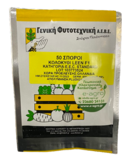 Alternative view of Κολοκύθι Leen F1 | 50 Σπόρων