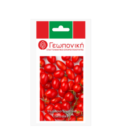 Βελανίδι Χαμηλό Cherrola F1 | 30 Σπόρων
