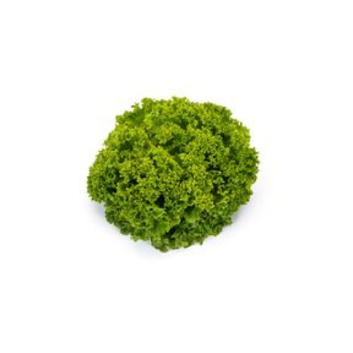 Μαρούλι Landau RZ | 5000 Pellets 1 Μαρούλι Landau RZ | 5000 Pellets