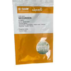 Αγγούρι Αναρριχώμενο Κοντό Seegreen F1 | 1000 Σπόρων