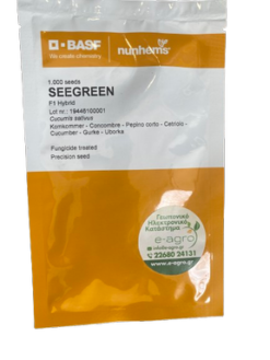Αγγούρι Αναρριχώμενο Κοντό Seegreen F1 | 1000 Σπόρων