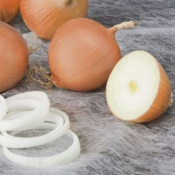 Κρεμμύδι Άσπρο Μακράς Ημέρας Peso F1 | 250.000 Σπόρων